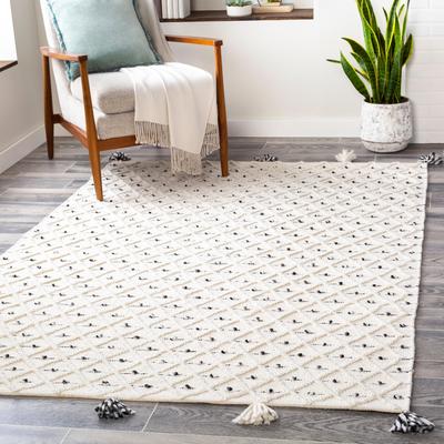 Livabliss Leslawa Handmade Indoor / Outdoor Moroccan Area Rug