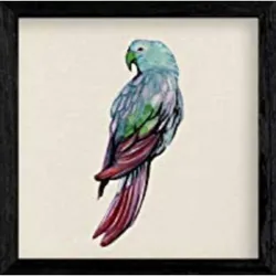 POSTER Square Vogelzeichnungen Blaue Lorit 20X20cm Schwarzer Rahmen