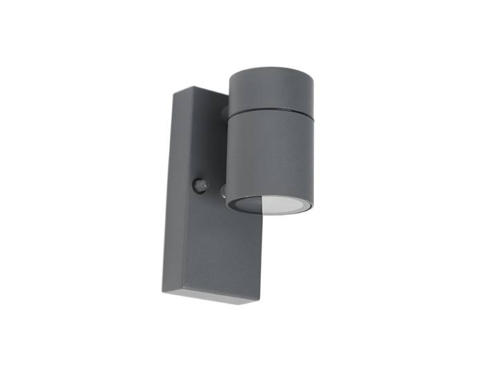 Applique murale extérieure anthracite IP44 avec capteur