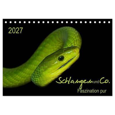 Schlangen und Co. - Faszination pur (Tischkalender 2027 DIN A5 quer), CALVENDO Monatskalender