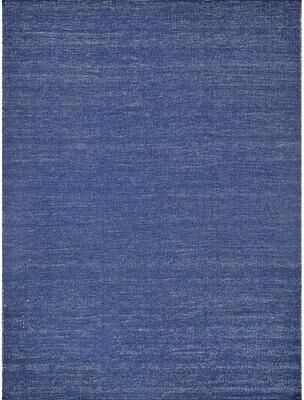 Exquisite Rugs Loro Indoor/Outdoor Flatweave PET yarn Navy Area Rug.