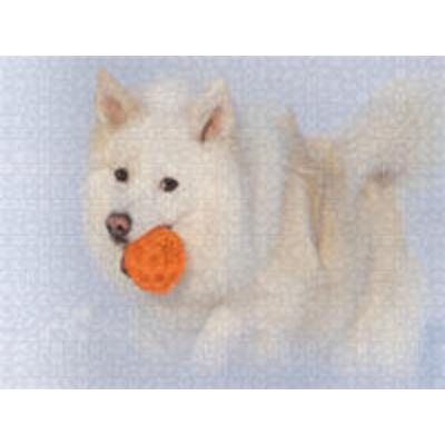 CALVENDO Puzzle Islandhund im Schnee | 1000 Teile Lege-Größe 64x48cm Foto-Puzzle für glückliche Stunden