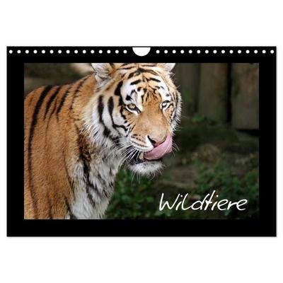 Wildtiere (Wandkalender 2027 DIN A4 quer), CALVENDO Monatskalender