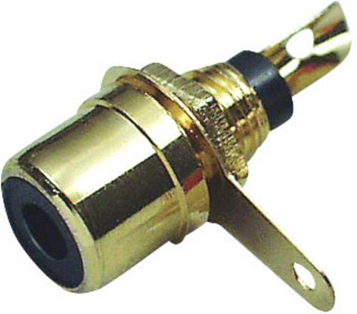 BKL Electronic 0101138 Cinch-Steckverbinder Buchse, Einbau Polzahl: 2 Gelb