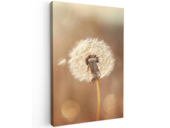 LEINWANDBILD Löwenzahn - Beige - Natur - Blume Wanddeko 40x60 cm