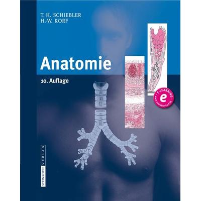 Anatomie, Gebundene Ausgabe von Theodor H. Schiebler,Horst-W. Korf, Steinkopff
