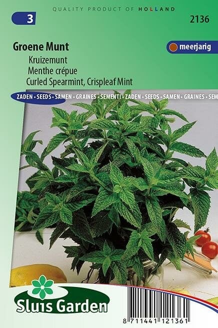 Sluis Garden Groene Munt Kruizemunt zaden