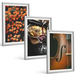 BILDER SET 3er Set - 40x60 cm Silberner Rahmen - Vintage Blumen Wein Geige