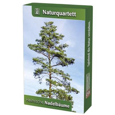 Heimische Nadelbäume