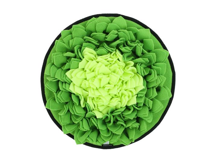Tier-Intelligenzspielzeug WOUAPY Schnüffelteppich Dingo Veggie , grün (bunt), Tierspielzeuge, Tier-Intelligenzspielzeug