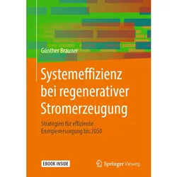 Systemeffizienz bei regenerativer Stromerzeugung, Fachbücher von Günther Brauner