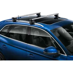 Audi Grundträger für Audi Q4 e-tron