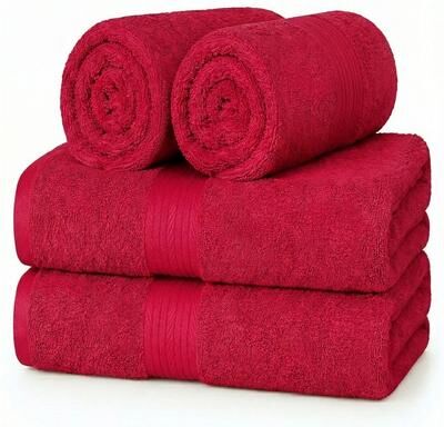 Ample Decor Plush Thick Luxurious Cotton Hand Towels 18X28 Inch - 4 Pcs