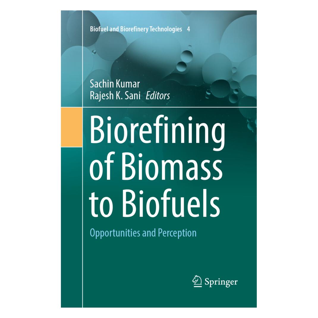 Springer Biorefining of Biomass to Biofuels (Englisch, Softcover, Rajesh K. Sani, Sachin Kumar) (56050348)