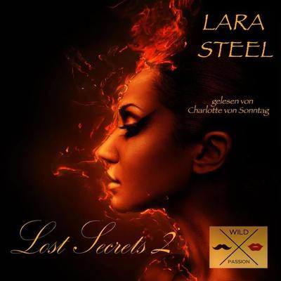 Lost Secrets 2 - Lara Steel, Audio, 4066004045870