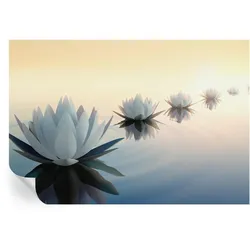 FOTOTAPETE 152x104 cm - Friedliche Aussicht