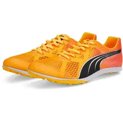 PUMA evoSPEED Crossfox 4 Leichtathletikschuhe sun stream/sunset glow/puma black 46