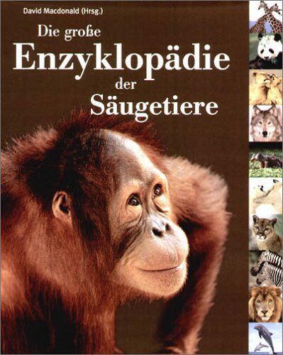 David Macdonald - Die große Enzyklopädie der Säugetiere - Preis vom 18.10.2026 15:28:09 h