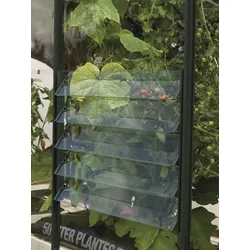 Vitavia Lamellen-Wandfenster, smaragd, mit ESG 3mm
