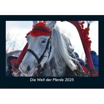 Die Welt der Pferde 2025 Fotokalender DIN A5