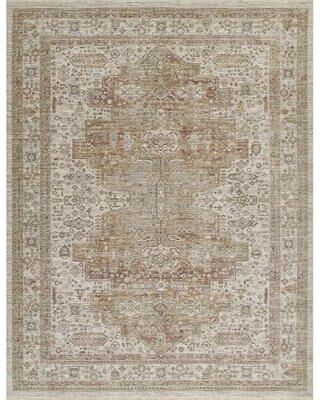 Momeni Georgina Polyester Medallion Traditional Area Rug