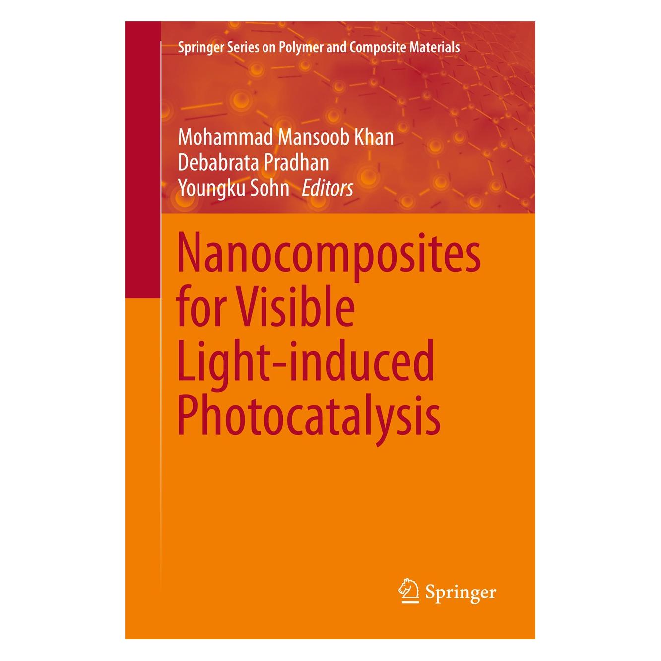 Springer Nanocomposites for Visible Light-induced Photocatalysis (Englisch, Hardcover, Debabrata Pradhan, Mohammad Mansoob Khan, Youngku Sohn) (9783319624457)