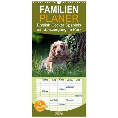 Familienplaner 2026 - English Cocker Spaniels - Ein Spaziergang im Park mit 5 Spalten (Wandkalender, 21 x 45 cm) CALVENDO