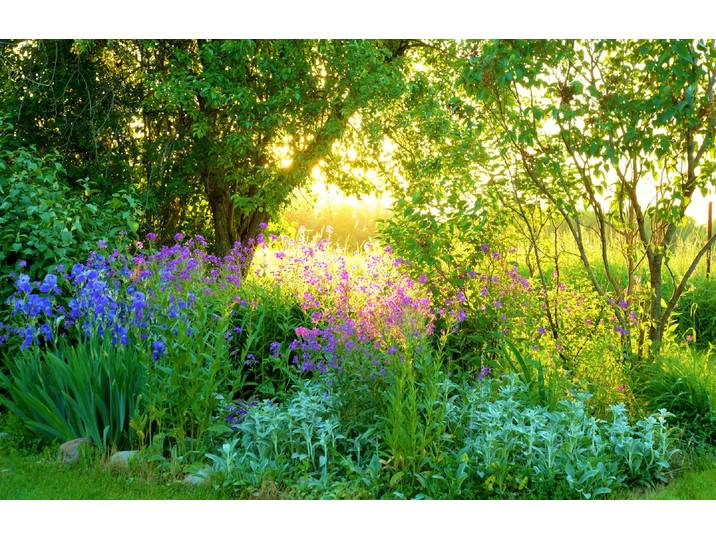 Fototapete PAPERMOON GARTEN-BLUMEN BÄUME PFLANZEN PARK STEINE BLÜTEN WALD , bunt, B:3,5m L:2,6m, Vlies, Tapeten, Fototapete