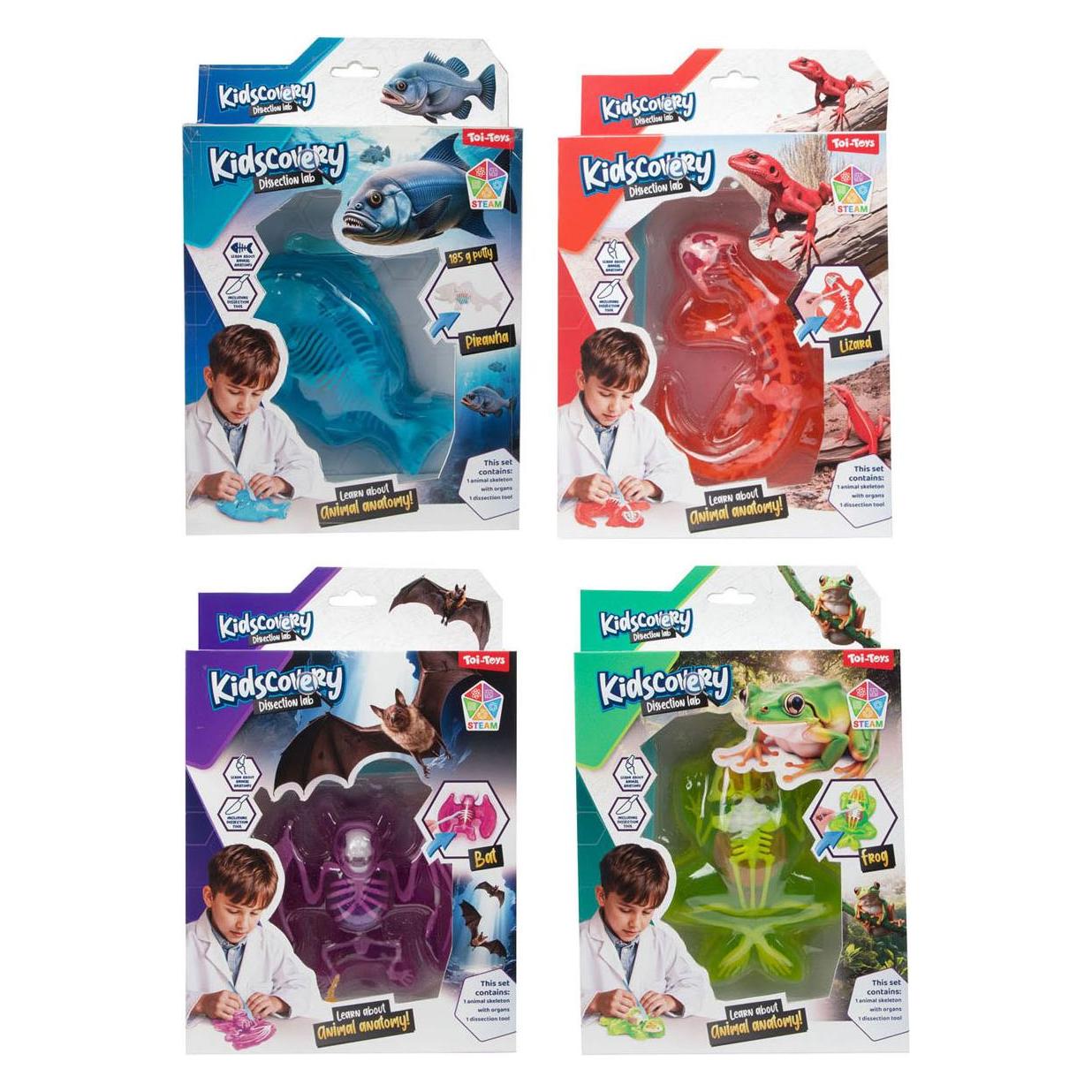 Toi-Toys Kidscovery Schleim Skelett Tier (68071221)
