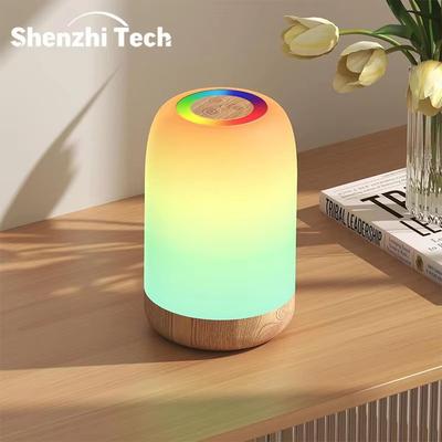 Inspired Finds LED Touch RGB Table Lamp With Wood Grain Finish And USB Rechargeable Design LED Touch RGB Table Lamp With Wood Grain Finish And USB Rechargeable Design