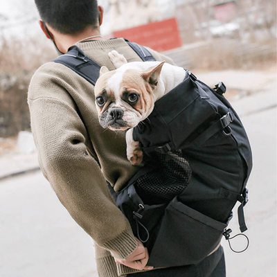 PetsAreLife Breathable Dog Backpack Black L