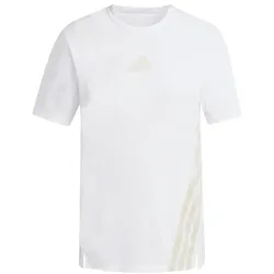 adidas Terrex Xperior Climacool+ T-Shirt Damen - white - L