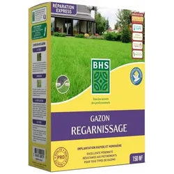 BHS, Samen, Samen 3 Kg (Rasensamen)