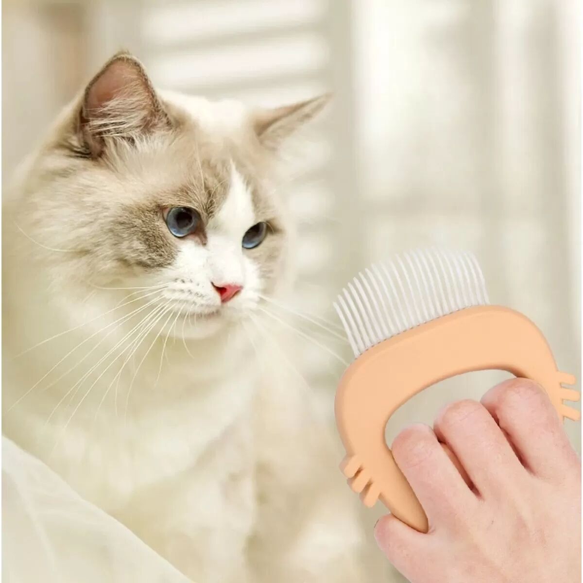 INF Brosse de toilettage pour chat en forme de coquille : Brosse douce pour chats et chiens Violet
