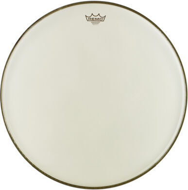 Remo "22" Renaissance Ambassador BD"