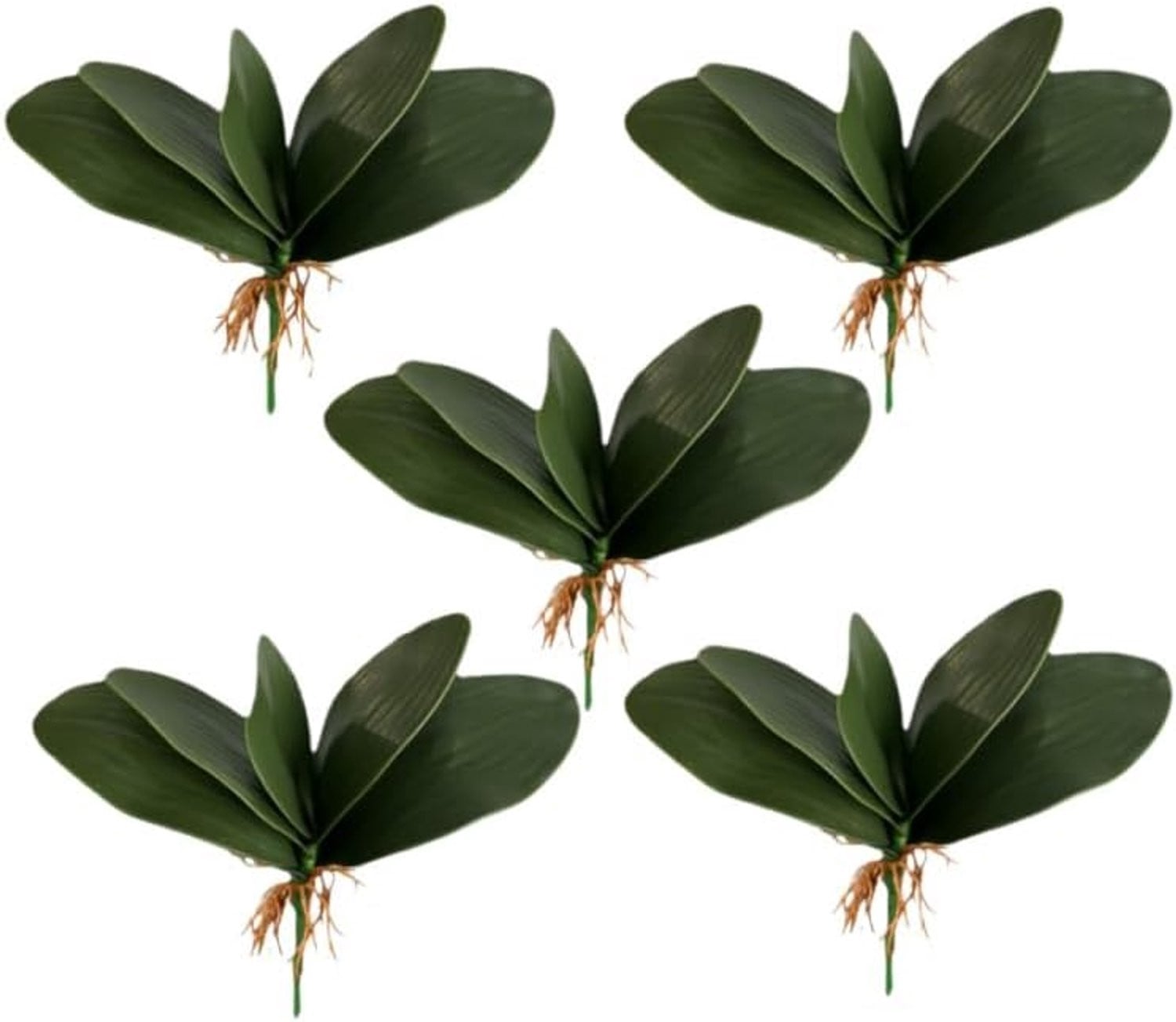 Set van 5 realistische kunstmatige Phalaenopsis orchideeebladeren voor decoratie - ShopVlot