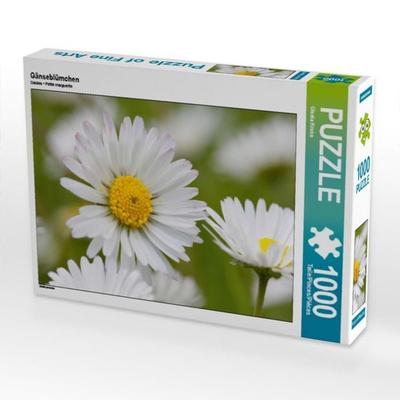 CALVENDO Puzzle Gänseblümchen | 1000 Teile Lege-Größe 64x48cm Foto-Puzzle für glückliche Stunden