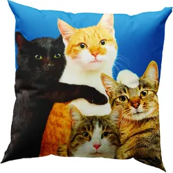 Dekokissen Toiletpaper Polycats 50 x 50 cm