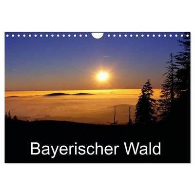 Bayerischer Wald (Wandkalender 2026 DIN A4 quer), CALVENDO Monatskalender