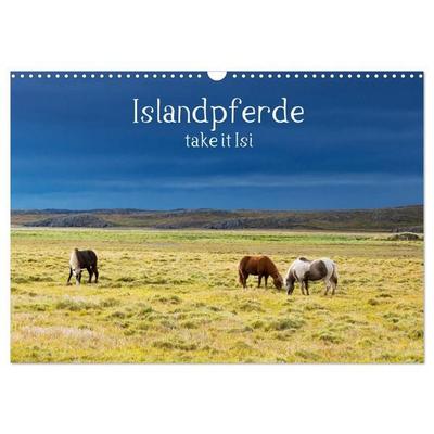 Islandpferde take it Isi (Wandkalender 2027 DIN A3 quer), CALVENDO Monatskalender