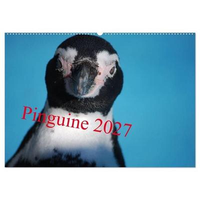 Pinguine 2027 (Wandkalender 2027 DIN A2 quer), CALVENDO Monatskalender