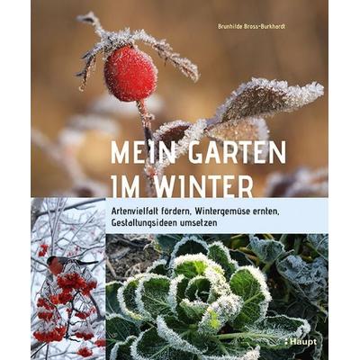 Mein Garten im Winter, Gebundene Ausgabe von Brunhilde Bross-Burkhardt, Haupt Verlag, 978-3-258-08172-4