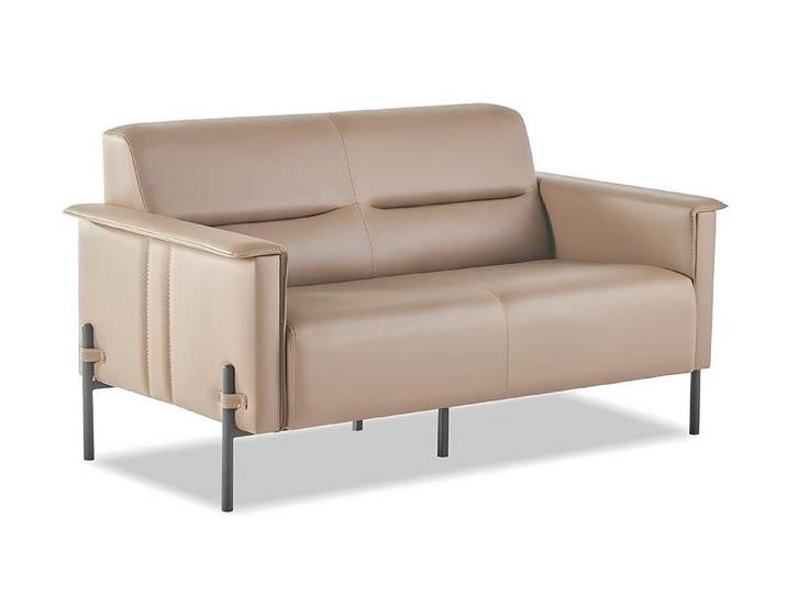 Xlmoebel 2-Sitzer Beiges modernes Ledersofa für stilvolles Wohnen, Sofa 1 Teile, Made in Europa