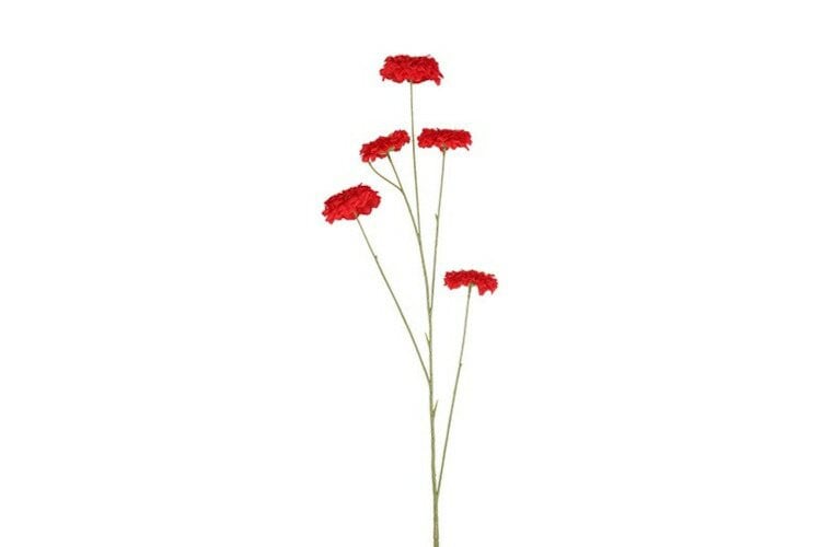 Countryfield zijden Zinnia bloem rood, 105 cm