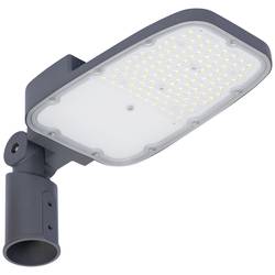 LEDVANCE Area Medium 181983.LE.00.01 LED-Mastleuchte LED ohne 65 W Grau