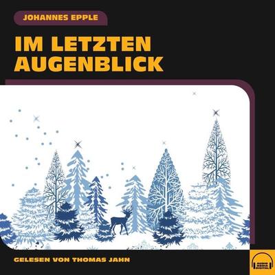 Im letzten Augenblick - Johannes Epple, Audio, 9783991571902