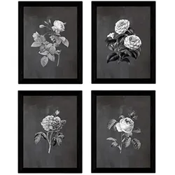 POSTER Set mit 4 Botanische Schwarz Hintergrund Rosa Blumen A3 Rahmenlos