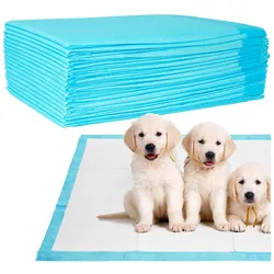 Ideoon Trainingspads 600 Stück für Hunde, Welpenunterlage, 5-lagig, auslaufsicher, 60 x 60 cm (Hund), Tierhygiene