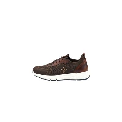 Sneaker LLOYD "ECHO", Herren, Gr. 10, braun, Leder, unifarben, Schuhe Sneaker, mit herausnehmbarem Fußbett