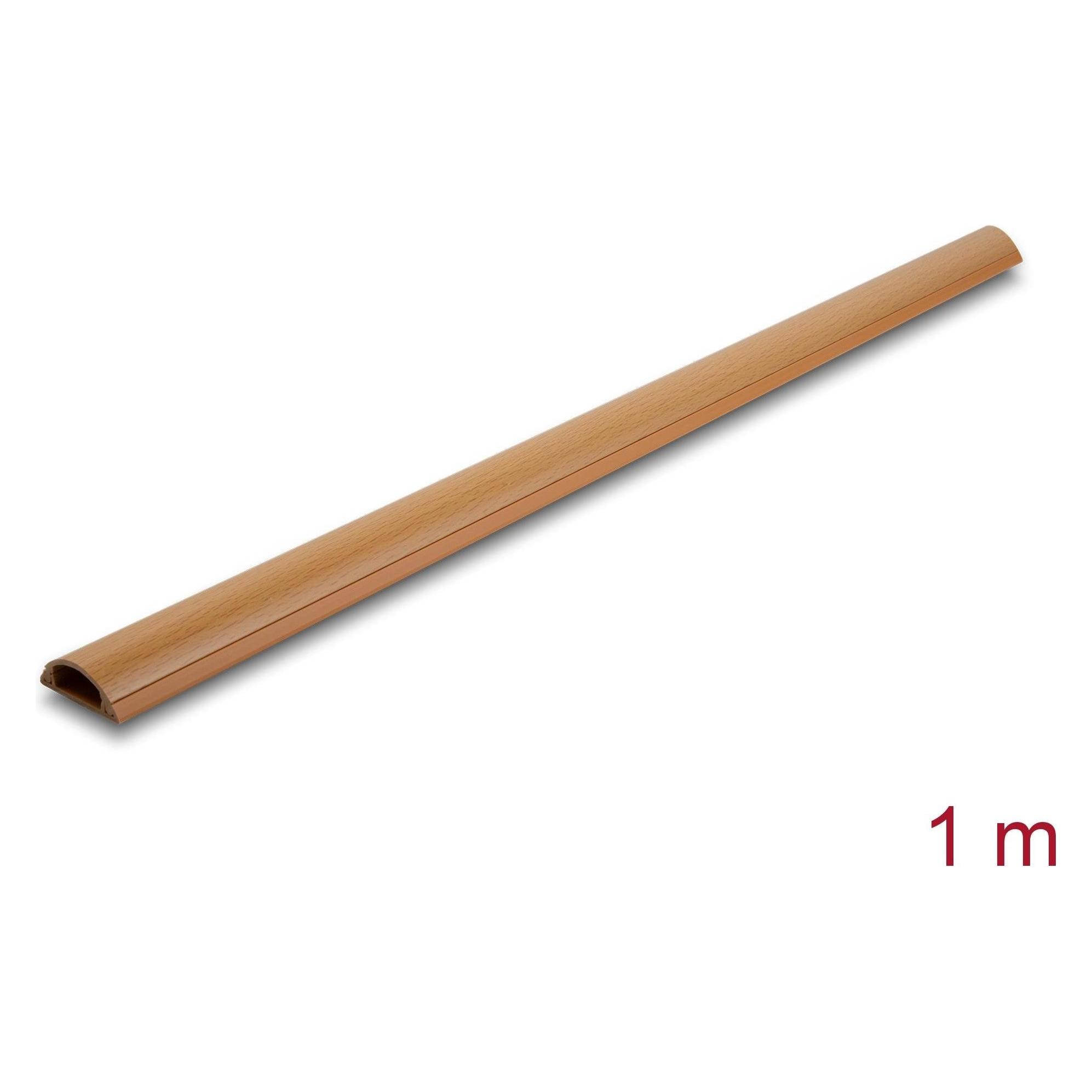 Delock Kabelkanal (Kabelkanal, 100 cm) (20730)